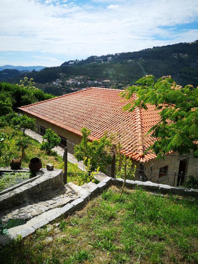 Encosta Do Douro - Rio Douro Villa ซินเฟยส์ ภายนอก รูปภาพ