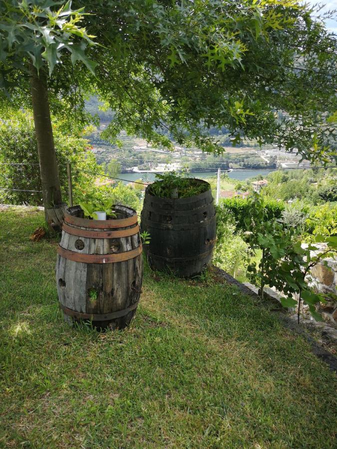 Encosta Do Douro - Rio Douro Villa ซินเฟยส์ ภายนอก รูปภาพ
