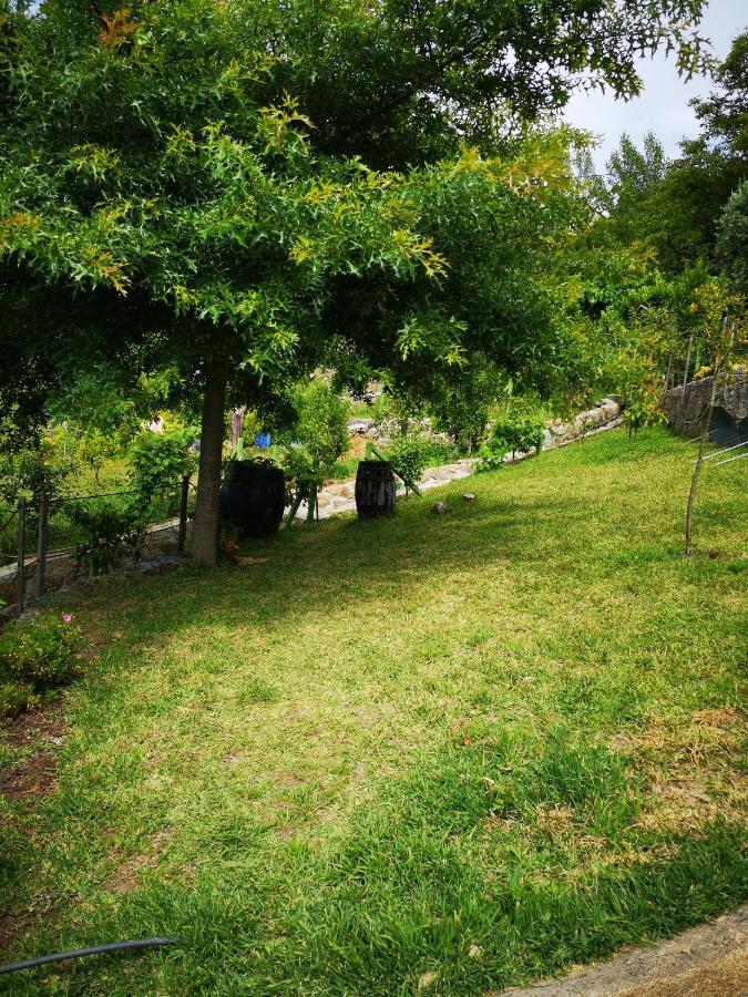 Encosta Do Douro - Rio Douro Villa ซินเฟยส์ ภายนอก รูปภาพ